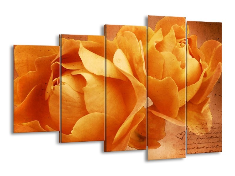 Canvas schilderij Roos | Bruin, Oranje, Geel | 150x100cm 5Luik