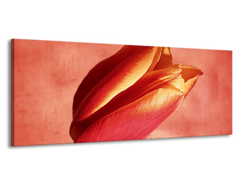 Canvas schilderij Tulp | Rood, Oranje, Geel | 145x58cm 1Luik