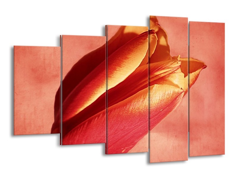 Canvas schilderij Tulp | Rood, Oranje, Geel | 150x100cm 5Luik
