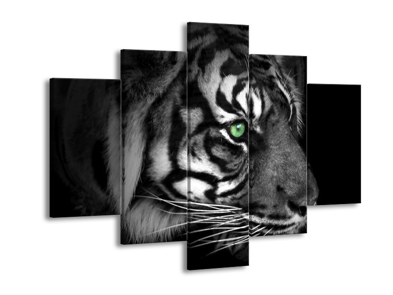 Glas schilderij Tijger | Wit, Zwart, Grijs | 150x105cm 5Luik