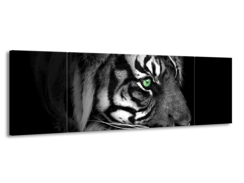 Canvas schilderij Tijger | Wit, Zwart, Grijs | 170x50cm 3Luik