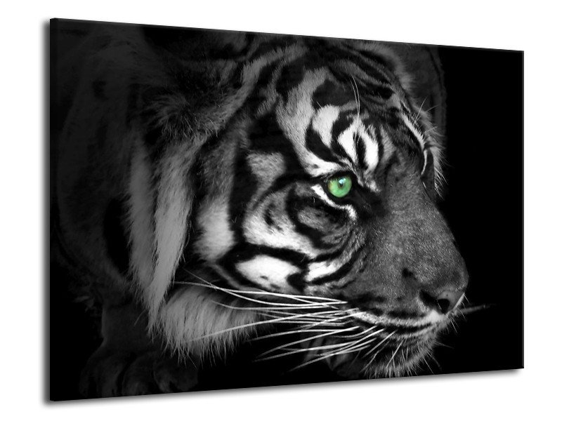 Canvas schilderij Tijger | Wit, Zwart, Grijs | 70x50cm 1Luik