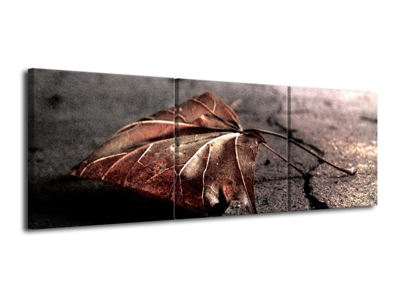 Glas schilderij Herfst | Bruin, Grijs, Rood | 120x40cm 3Luik