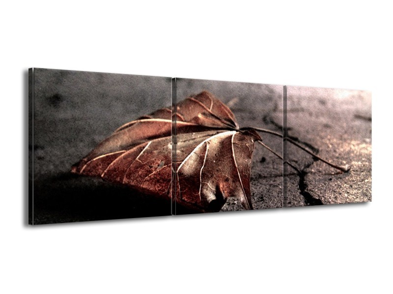 Canvas schilderij Herfst | Bruin, Grijs, Rood | 150x50cm 3Luik