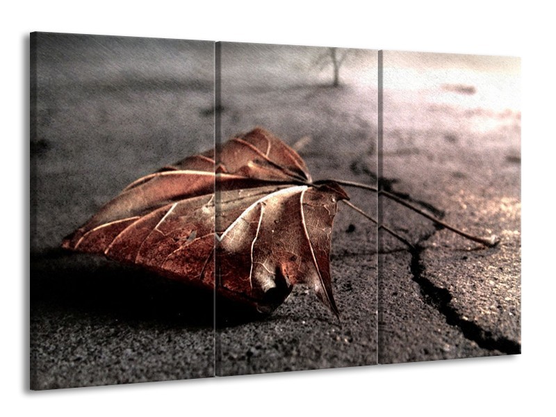 Canvas schilderij Herfst | Bruin, Grijs, Rood | 165x100cm 3Luik