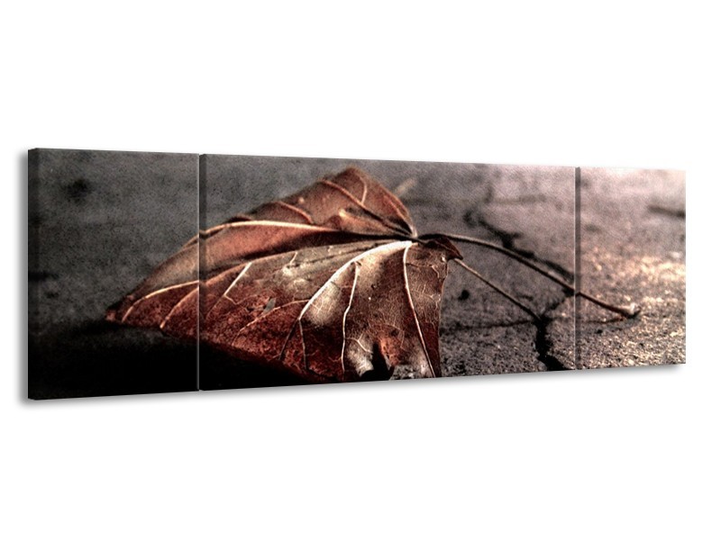 Canvas schilderij Herfst | Bruin, Grijs, Rood | 170x50cm 3Luik