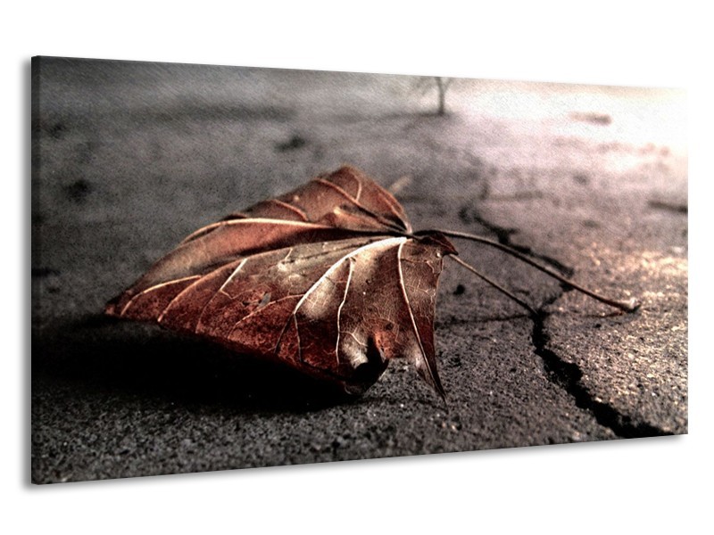 Canvas schilderij Herfst | Bruin, Grijs, Rood | 190x100cm 1Luik