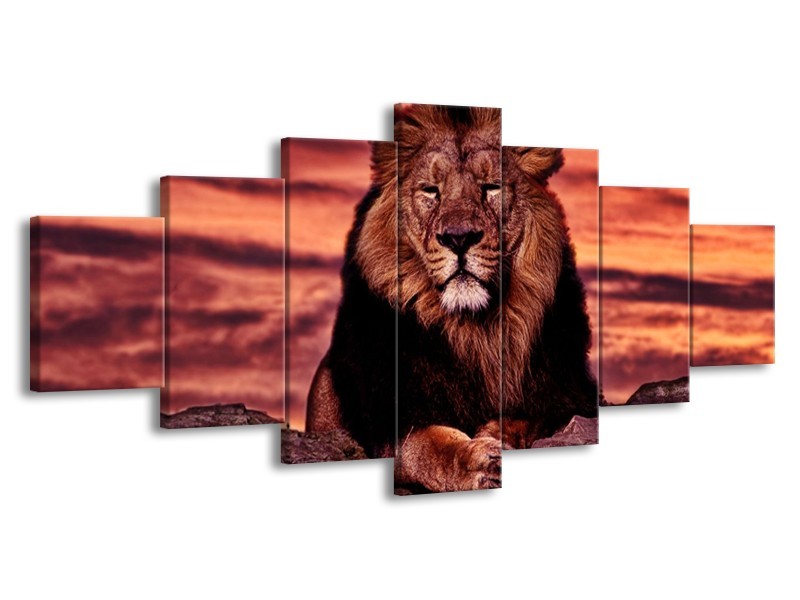 Canvas schilderij Leeuw | Paars, Bruin, Zwart | 210x100cm 7Luik
