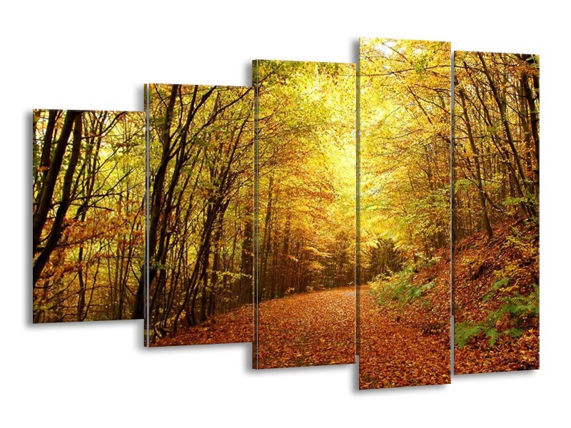 Canvas schilderij Natuur | Geel, Groen, Bruin | 150x100cm 5Luik