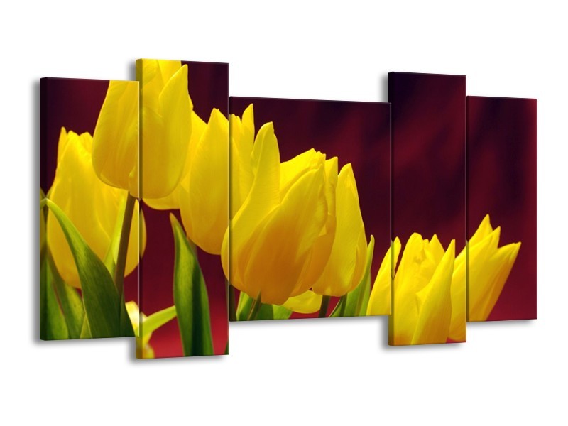 Canvas schilderij Tulpen | Geel, Bruin, Groen | 120x65 5Luik