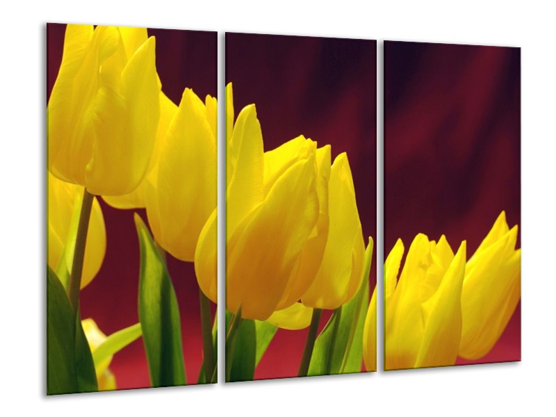 Canvas schilderij Tulpen | Geel, Bruin, Groen | 120x80cm 3Luik