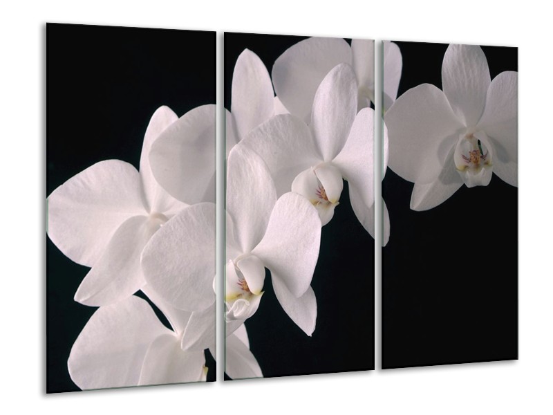 Canvas schilderij Orchidee | Wit, Zwart | 120x80cm 3Luik