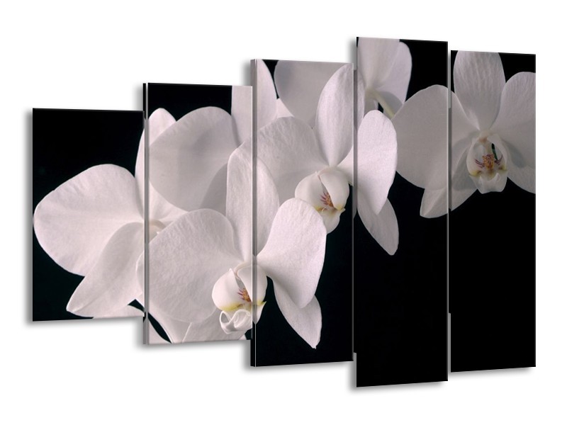 Canvas schilderij Orchidee | Wit, Zwart | 150x100cm 5Luik