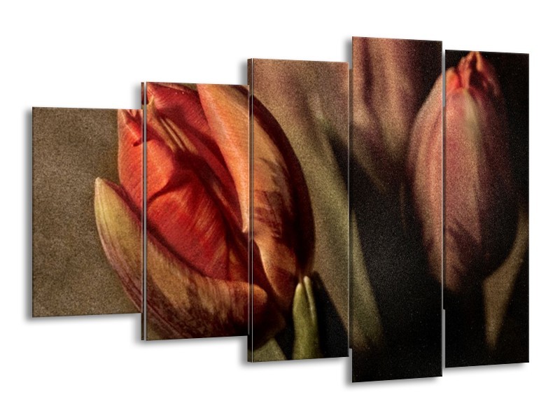 Canvas schilderij Tulp | Groen, Rood | 150x100cm 5Luik