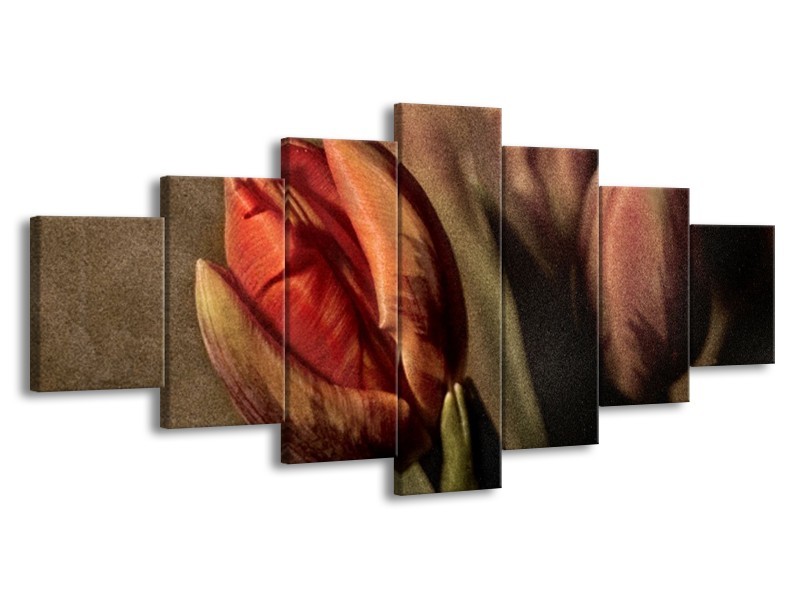Canvas schilderij Tulp | Groen, Rood | 210x100cm 7Luik