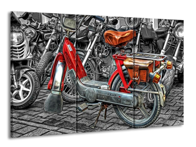 Glas schilderij Brommer | Rood, Grijs, Wit | 165x100cm 3Luik