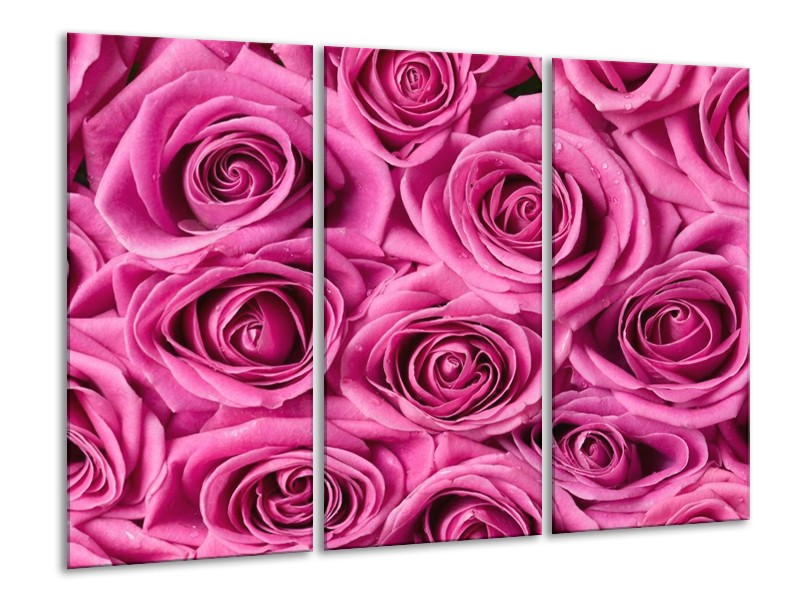 Canvas schilderij Roos | Rood, Wit, Grijs | 120x80cm 3Luik