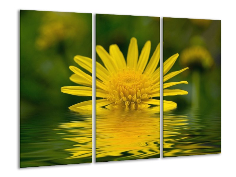 Canvas schilderij Bloem | Geel, Groen | 120x80cm 3Luik
