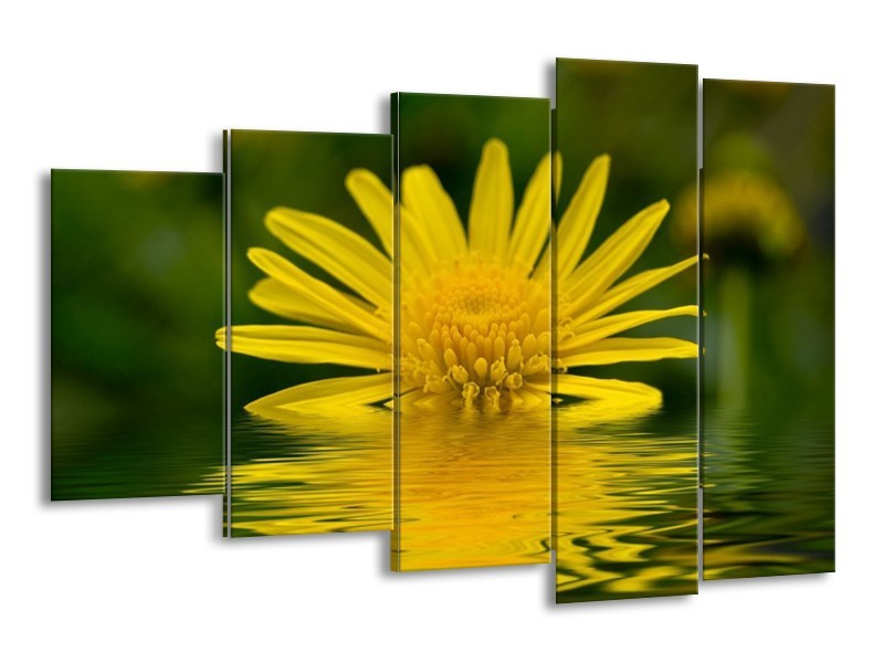 Canvas schilderij Bloem | Geel, Groen | 150x100cm 5Luik