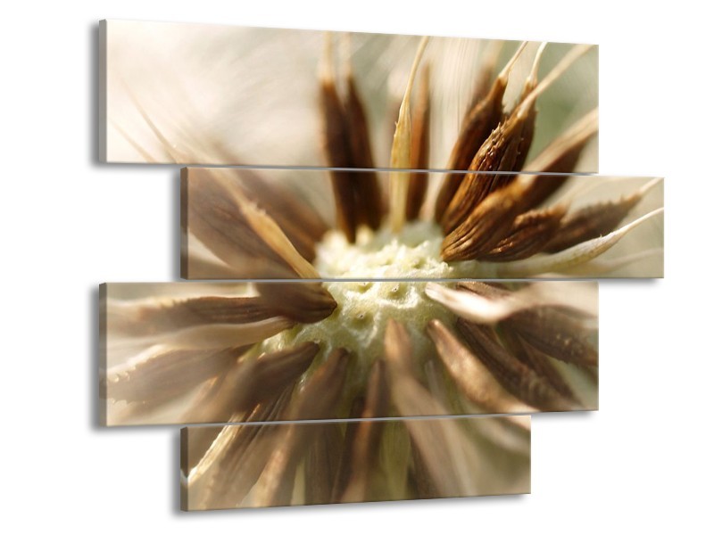 Canvas schilderij Bloem | Bruin, Wit, Grijs | 115x85cm 4Luik
