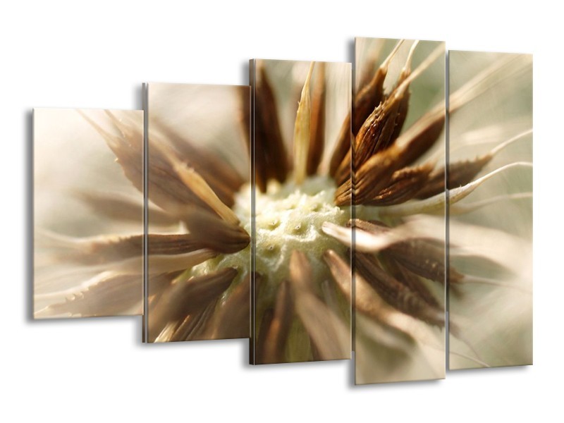 Canvas schilderij Bloem | Bruin, Wit, Grijs | 150x100cm 5Luik