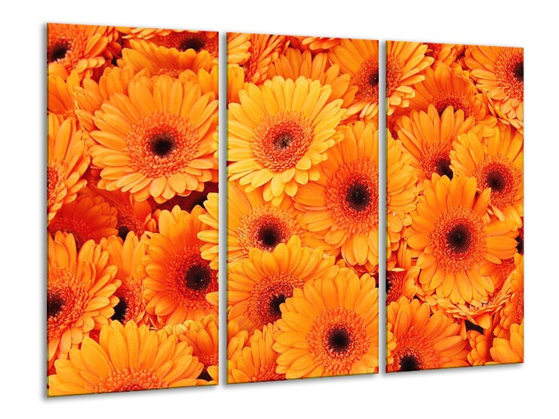Canvas schilderij Bloemen | Oranje, Zwart | 120x80cm 3Luik