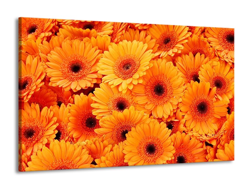 Canvas schilderij Bloemen | Oranje, Zwart | 140x90cm 1Luik