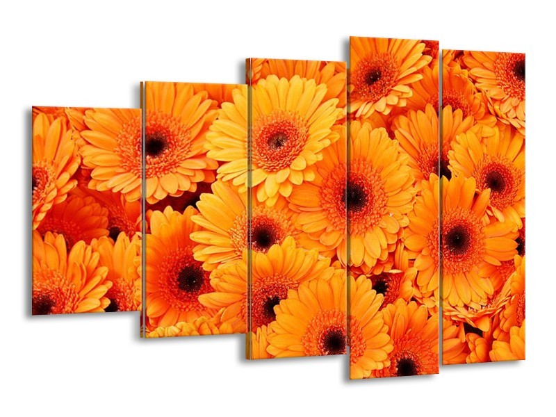 Canvas schilderij Bloemen | Oranje, Zwart | 150x100cm 5Luik