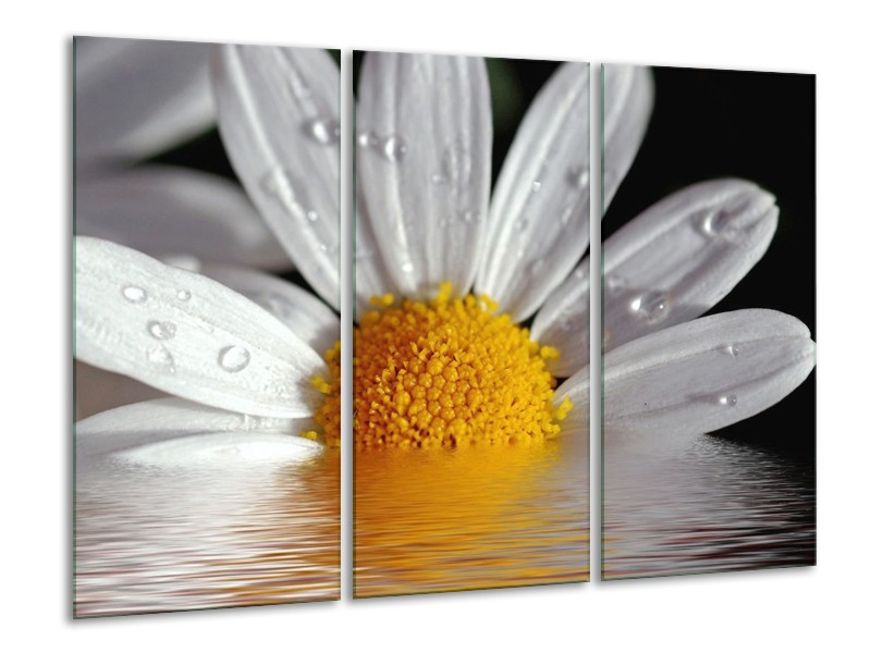 Canvas schilderij Bloem | Geel, Wit | 120x80cm 3Luik