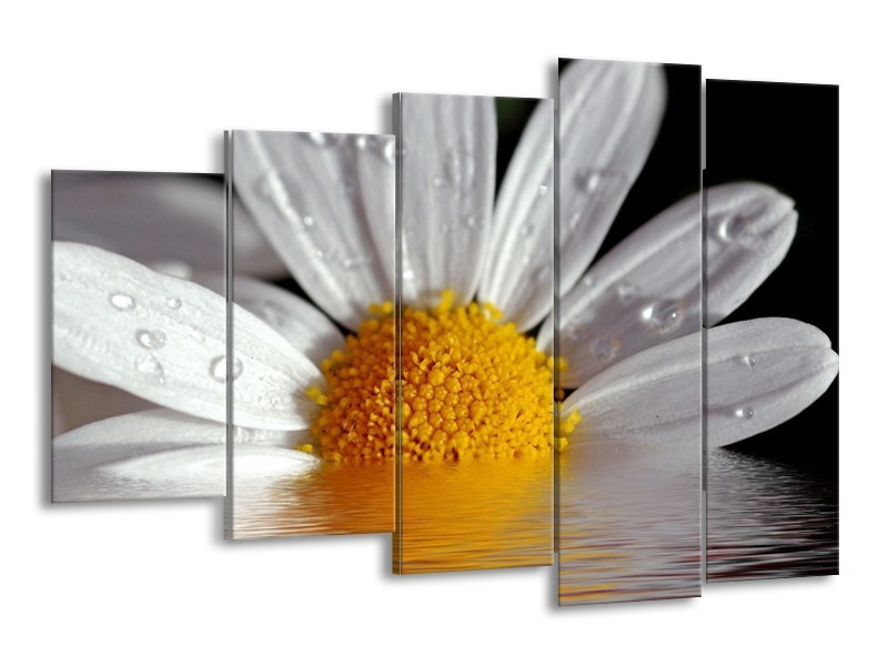 Canvas schilderij Bloem | Geel, Wit | 150x100cm 5Luik