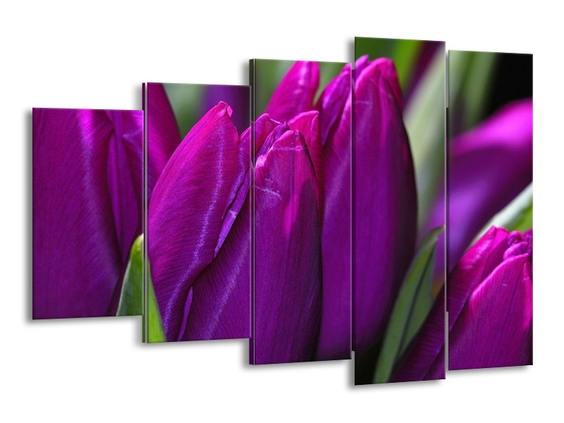 Canvas schilderij Tulp | Paars, Groen | 150x100cm 5Luik