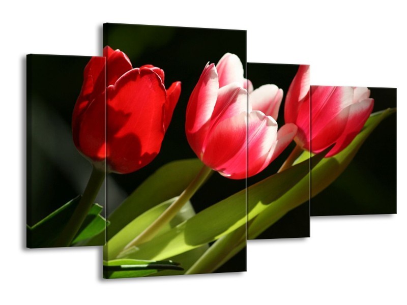 Canvas schilderij Tulpen | Rood, Wit, Groen | 120x75cm 4Luik