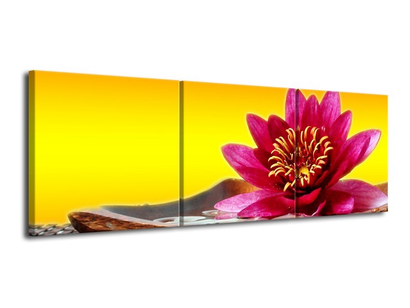 Canvas schilderij Bloem | Paars, Geel, Oranje | 120x40cm 3Luik