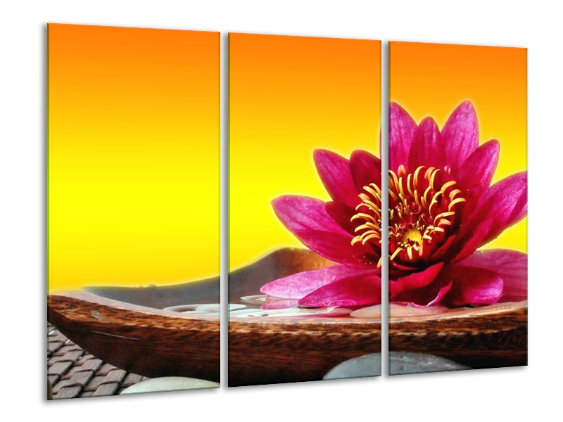 Canvas schilderij Bloem | Paars, Geel, Oranje | 120x80cm 3Luik
