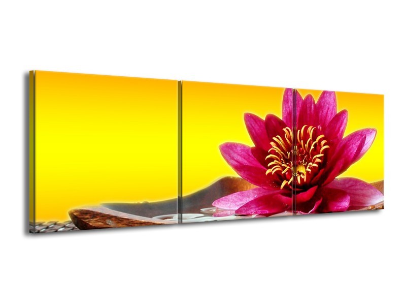 Canvas schilderij Bloem | Paars, Geel, Oranje | 150x50cm 3Luik