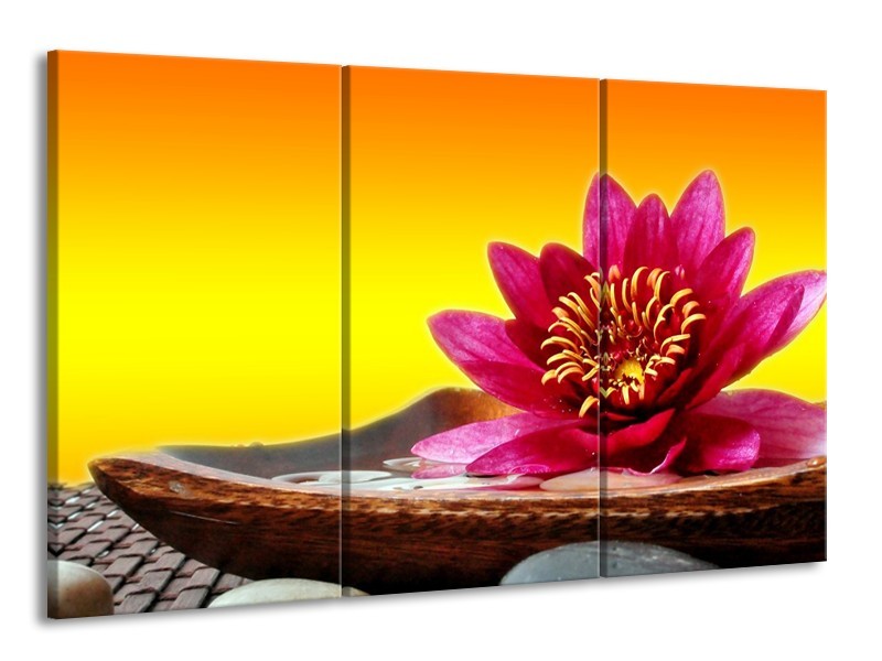 Canvas schilderij Bloem | Paars, Geel, Oranje | 165x100cm 3Luik