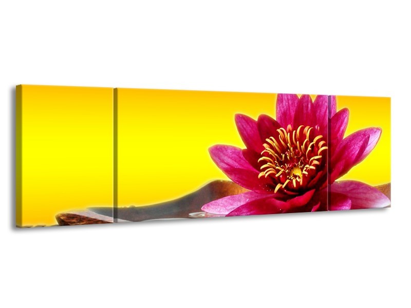 Canvas schilderij Bloem | Paars, Geel, Oranje | 170x50cm 3Luik