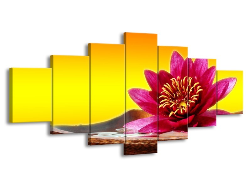 Canvas schilderij Bloem | Paars, Geel, Oranje | 210x100cm 7Luik