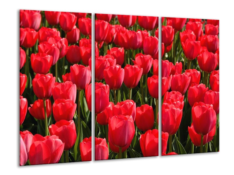 Canvas schilderij Tulpen | Rood, Groen, Grijs | 120x80cm 3Luik