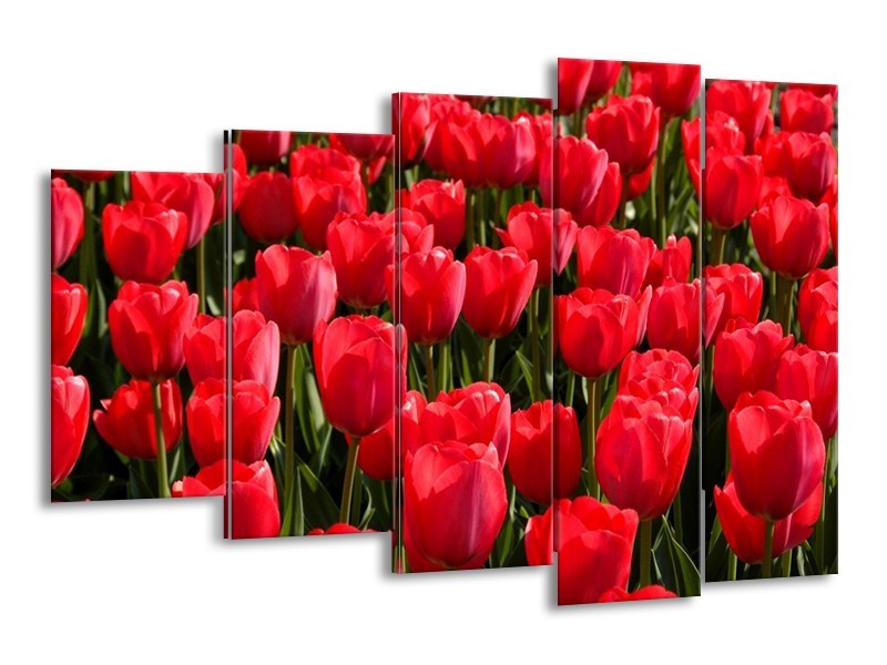 Canvas schilderij Tulpen | Rood, Groen, Grijs | 150x100cm 5Luik