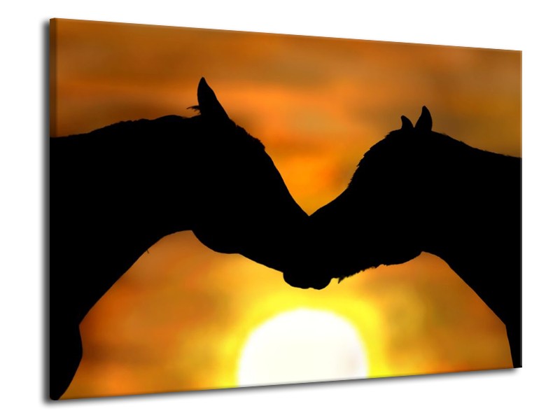 Canvas schilderij Paarden | Zwart, Geel, Bruin | 70x50cm 1Luik