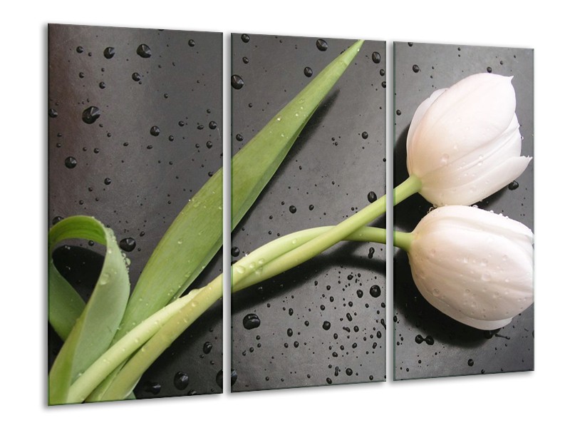 Canvas schilderij Tulpen | Wit, Groen, Grijs | 120x80cm 3Luik