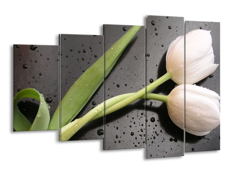 Canvas schilderij Tulpen | Wit, Groen, Grijs | 150x100cm 5Luik