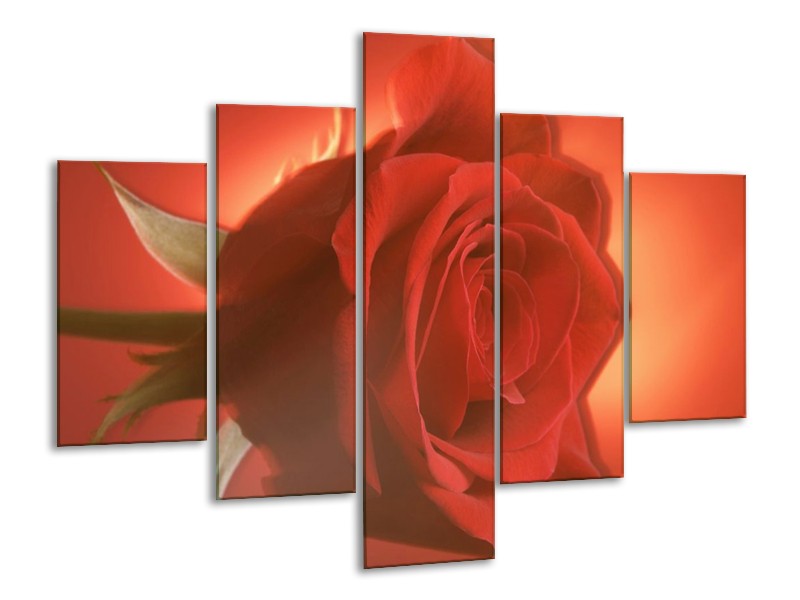 Canvas schilderij Roos | Rood, Oranje, Geel | 100x70cm 5Luik