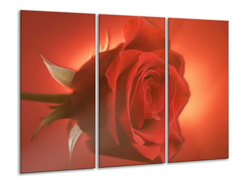 Canvas schilderij Roos | Rood, Oranje, Geel | 120x80cm 3Luik