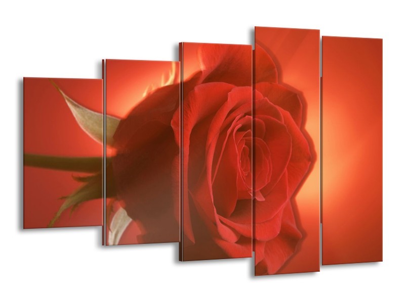 Canvas schilderij Roos | Rood, Oranje, Geel | 150x100cm 5Luik