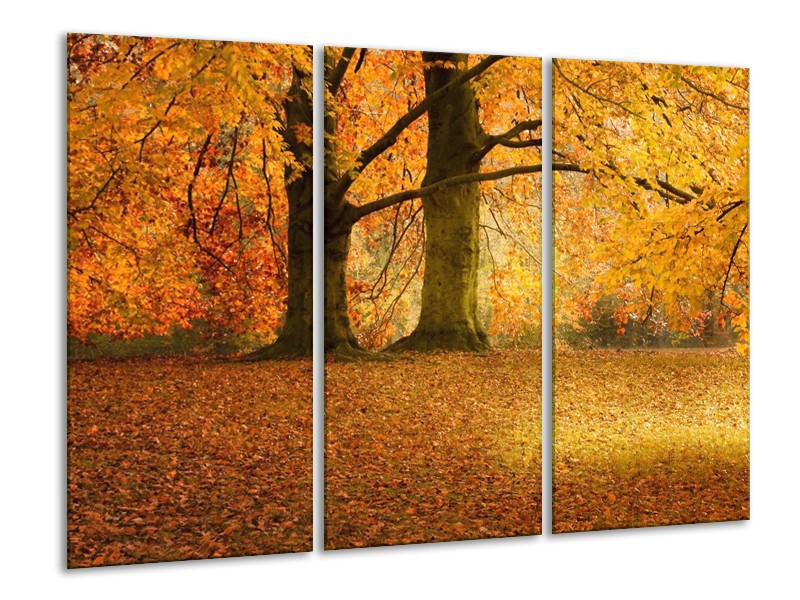 Canvas schilderij Bomen | Geel, Groen, Bruin | 120x80cm 3Luik