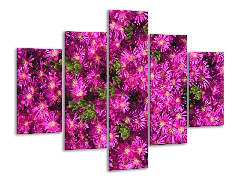 Canvas schilderij Bloemen | Paars, Groen | 100x70cm 5Luik