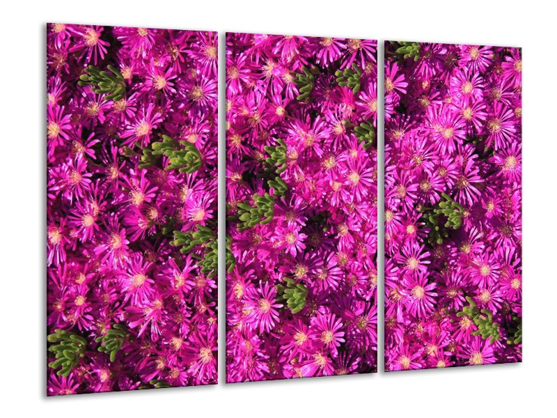 Canvas schilderij Bloemen | Paars, Groen | 120x80cm 3Luik