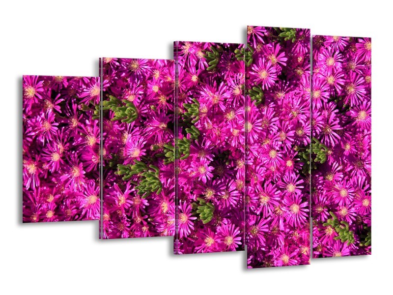 Canvas schilderij Bloemen | Paars, Groen | 150x100cm 5Luik